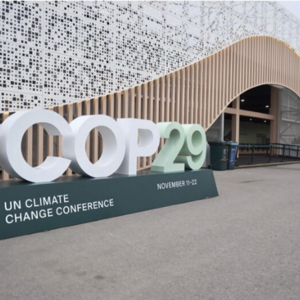 COP29: o protagonismo das seguradoras brasileiras nas discussões sobre transição climática