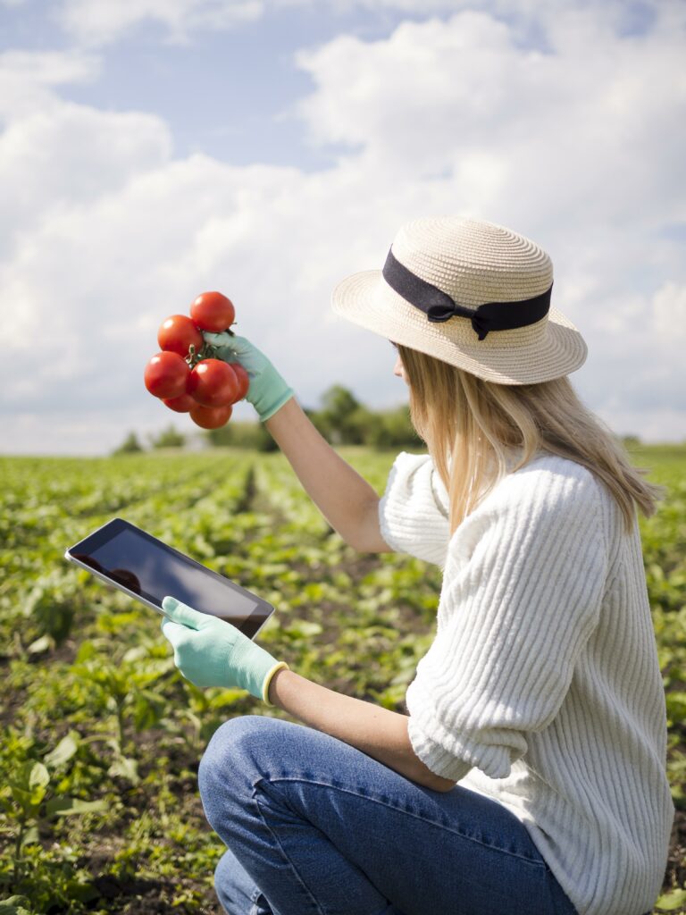 Seguro Rural: instrumento estratégico para a proteção do agronegócio brasileiro