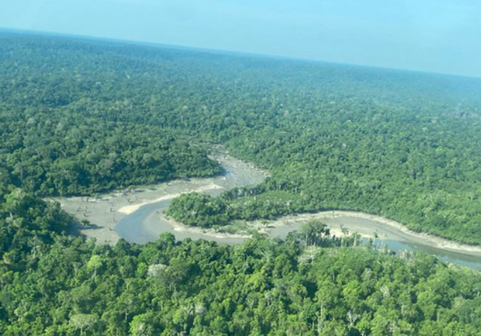 Latin Re inaugura seguro garantia pioneiro para concessão florestal voltada à restauração da Amazônia e geração de créditos de carbono
