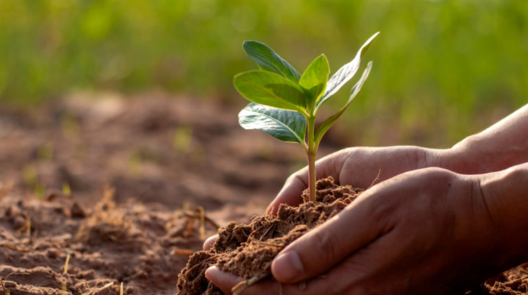 Agro articula derrubada de veto à blindagem do seguro rural