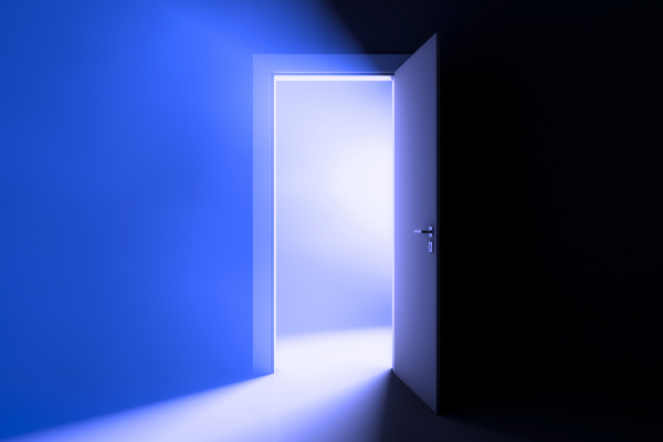 A gratuidade de justiça para pessoas jurídicas: entre a segurança jurídica e o acesso à jurisdição